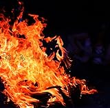 ���m��(�قނ�̂Ƃ�)�`��