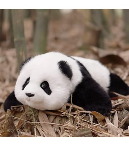 Amazon.co.jp: Kaikaikiki 子パンダ ぬいぐるみ プラッシュ 村上隆  