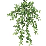 【人工植物】ポトスブッシュ
