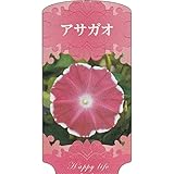 【1000枚】 AC 1型 アサガオ ASAGAO-011 ポリポット用 ラベル 名札 育苗 アンドウケミカル カ施 代不