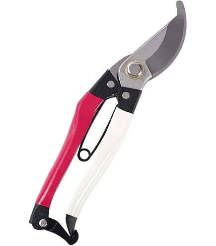 Amazon | 岡恒(Okatsune) 剪定鋏ユニーク 210mm (ブリスター入) No.104