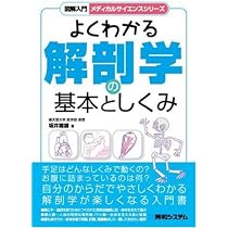 図解入門よくわかる解剖学の基本としくみ (図解入門メディカル