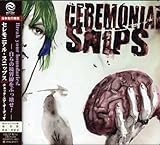 �`�F�b�N�E���A�E�I�[�f�B�I