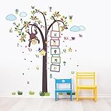 Walplus Removable Wall Stickers Nursery Monkey Measure + Alphabet - Nursery Kid's Room, 148Cm X 167C