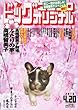 ビッグコミックオリジナル 2018年 4/20 号 [雑誌]