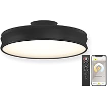 Amazon.co.jp: 【Amazon Alexa対応】エジソンスマート デュアル