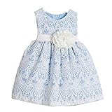 Sweetキッズベビーガールズライトブルーヴィンテージレースオーバーレイフラワーガールドレス6 – 24 m カラー: ブルー