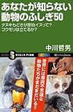 あなたが知らない動物のふしぎ50 タヌキもどきの原始イヌって?コウモリは立てるか? (サイエンス・アイ新書)