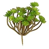 SunniMix 高品質　人工植物　多肉植物　観葉植物　家庭　ホーム　結婚式　パーティー　オフィス　装飾