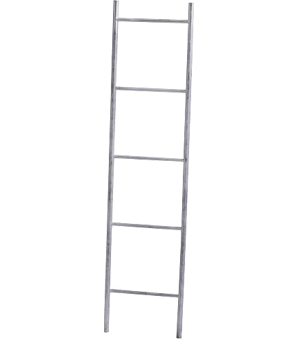 Amazon.co.jp: アビテ(Habiter) ウッド ラダー ホワイト 23×3×98cm WEA