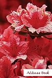 Address Book.: (Flower Edition Vol. B03)Glossy and Soft Cover, Large Print, Font, 6 X 9 for Contacts, Addresses, Phone Numbers, Emails, Birthday and More.