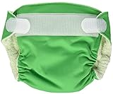 Imagine Baby Products Newborn Rayon from Bamboo All-In-One Hook and Loop Cloth Diaper, Emerald by Im