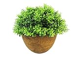 Nattol Mini Artificial Green Topiary in Pot for Home Decor [並行輸入品]