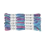 DMC Coloris コロリ 刺繍糸 6束入 25番 #4507 DMC517B