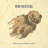 What Are We, Locks, to Do?