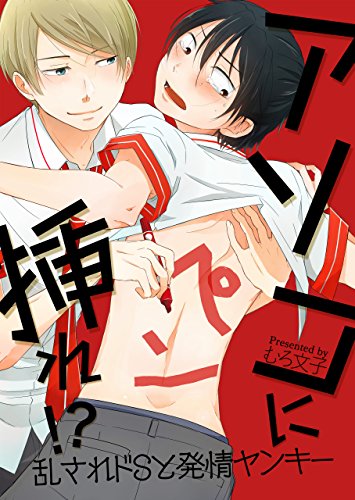 『アソコにペン挿れ!?乱されドSと発情ヤンキー』