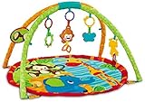 EMILYSTORES Baby Activity Play Gym Mats 30 x 30 Inch Zoo [並行輸入品]