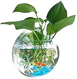 壁掛け アクアリウム 水槽 インテリア 観葉植物 金魚鉢 花瓶 観賞 ガーデニング 半球型 透明 (小)