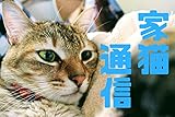 家猫通信08
