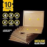 ゴキブリ・ねずみ粘着シート（大）【バターの香り/10パック】/ゴキブリ ねずみ ネズミ捕り ネズミ粘着 ゴキブリ駆除 ねずみシート
