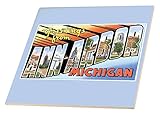 BLNヴィンテージ米国都市とはがきStates – Greetings from Ann Arbor Michigan風景ポストカードReproduction – タイル 4-Inch-Ceramic
