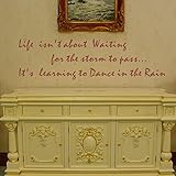 Pop Decors WL-0065-Vb Inspirational Quote Wall Decal Life Isn't About Waiting for The Storm to Pass 