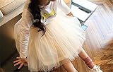 M.Z.L　豪華ボリューム チュチュ スカート　パニエ ★ ［プリンセス ベビー キッズ 女の子 チュチュ スカート ］　★ 誕生会 パーティー ダンス チア バレエ イベント 発表会 個性的　フォー