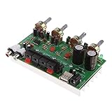 Baosity DX0409 100W　ステレオ　アンプ　ボード　モジュール　デュアル　チャンネル　デジタル　オーディオ　ステレオ　