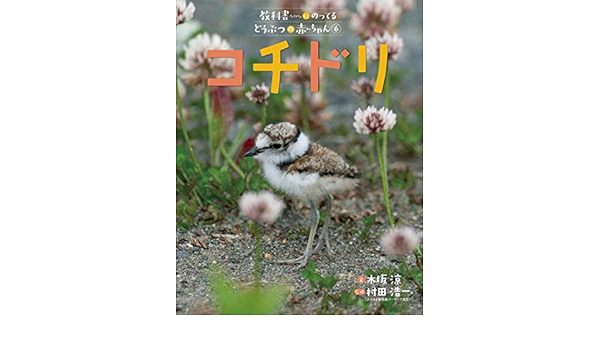 定番の冬ギフト 本 6巻セット 教科書にのってるどうぶつの赤ちゃん 送料無料 その他絵本 児童書 Adamscounty Iowa Gov