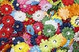 ( 100 ) in aバッグソフトMini Daisy花~ 2 " 2インチ小さな花Great forクラフトプロジェクト