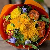 花束 生花 ギフト 7Lサイズ （ イエロー オレンジ 系 ） 大臣賞受賞 デザイナー お任せ花束