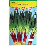 ネギ 種 赤ひげ 小袋（約10ml）