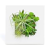 GREENPARK 多肉植物ミックスA ウォールデコS 造花 フェイクグリーン