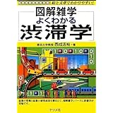 よくわかる渋滞学 (図解雑学)