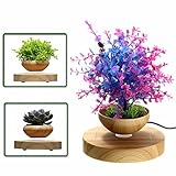 LED Levitating Air Bonsai Pot - Pathonor Magnetic Levitation Suspension Flower Floating Pot Potted P