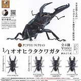 アニマリエ コレクション 1/1 オオヒラタクワガタ × 全4種セット フルコンプ ガチャガチャ カプセルトイ
