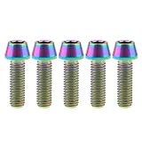Ruifu M8x15 20 25 30 35 40 45 50 mm P1.25 チタン合金コニカルヘッド六角穴付ボルト 5個入 (M8x25mm, でレインボー)