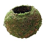 Fityle 創造的　苔　モスボール　フラワーポット　観賞植物　盆栽　植物ホルダー　インテリア　ガーデン　全4サイズ選択　 - 9cm