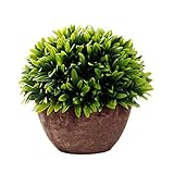 Qingsunホームインテリア人工フェイクグリーンミニプラスチック草植物のwith Pots forホームインテリア 15X13cm グリーン CGK142121P2TWF8