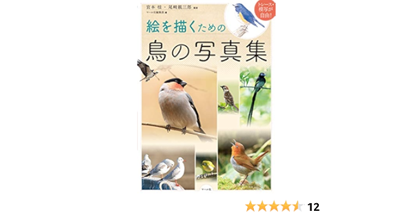 絵を描くための鳥の写真集  マール社編集部, 宮本桂・尾﨑親三郎 本 