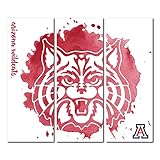 Arizona Wildcatsキャンバス壁アートTriptych水彩デザイン