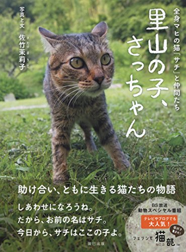 里山の子、さっちゃん