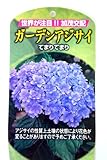 あじさい 苗 【 てまりてまり 】 5号ポット苗 アジサイ 庭木 落葉樹 低木
