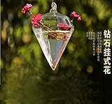 Lovoski ガラス製　壁掛け用 フラワーベース 植物 花 装飾 花瓶 ボトル ぶら下げ クリア ガラス 壁 ダイヤモンド 水耕栽培 プレゼント 雑貨 飾り 結婚式 容器