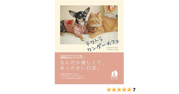 チワトラ ワンダーカフェ 永野 沙由 本 通販 Amazon