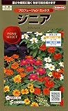 サカタのタネ 実咲花9600 ジニア プロフュージョンミックス 00909600