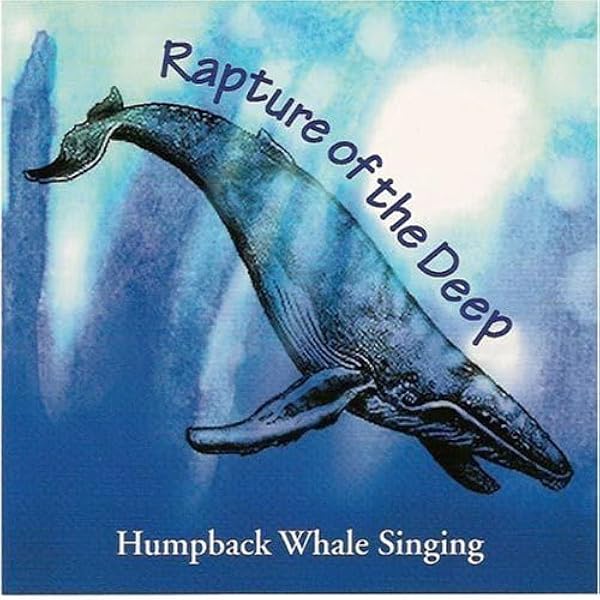 Amazon.co.jp: SONGS OF THE HUMPBACKED WHALE: ミュージック