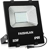 FAISHILAN LED 30W投光器 6500K フラッドライト昼光色 防水加工 作業灯 看板灯 集魚灯 駐車場灯 ナイター 船舶IP66完全防水　屋外照明　ガーデン照明イッチ付き　配線コード　2