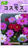 カネコ種苗 草花タネ735 コスモス ベガ 10袋セット