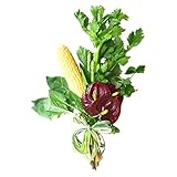 KOBE Flower smith ReiRi　芦屋の野菜王子がオススメする旬の野菜をレイリおすすめのお花と合わせたベジフラワーブーケ